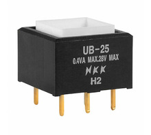 UB25SKG036F