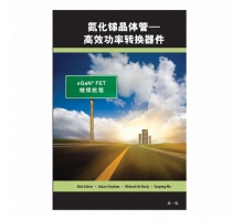 GAN FET BOOK SIMPLIFIED CHINESE VERSION