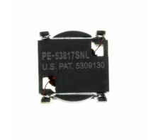 PE-53817SNL