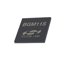 BGM11S22F256GA-V2