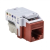 RJ45FC6-RED Image