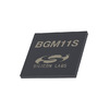 BGM11S12F256GA-V2 Image