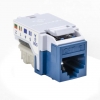 RJ45FC6-BLU Image