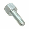 3341 JACKSOCKET (SCR) Image